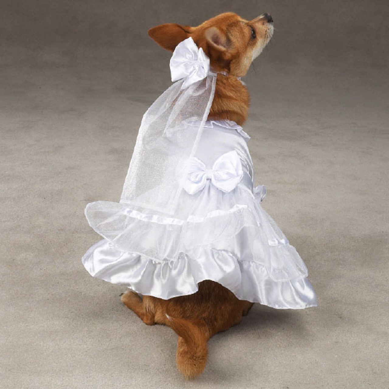 dog wedding dress